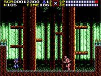 Ninja Gaiden, capture d'écran